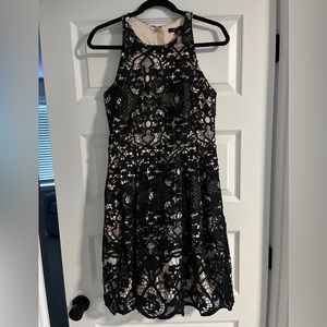 Brand New Lace Dress